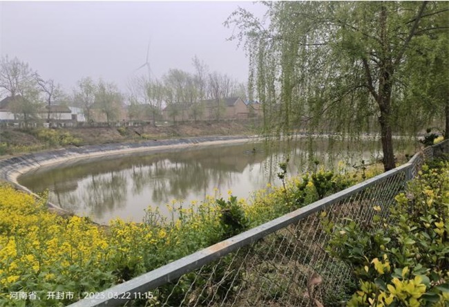 杞县官庄乡:扎实推进“空心院”整治助力点亮“生态宜居星”