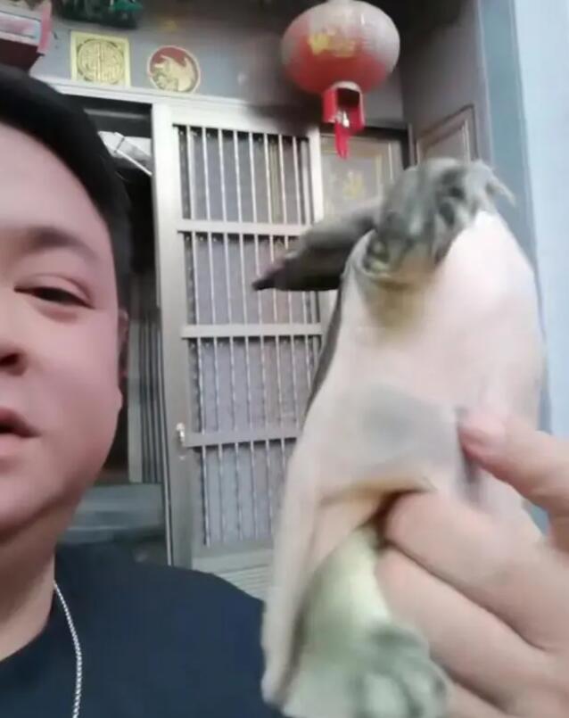 广东男子钓鱼“炫拍”，自拍视频结果引发悲剧