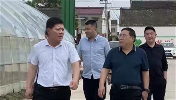 河南省乡村振兴局社会扶贫处领导等一行人到杞县官庄乡调研指导工